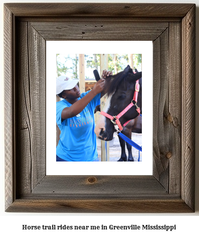 horse trail rides near me in Greenville, Mississippi